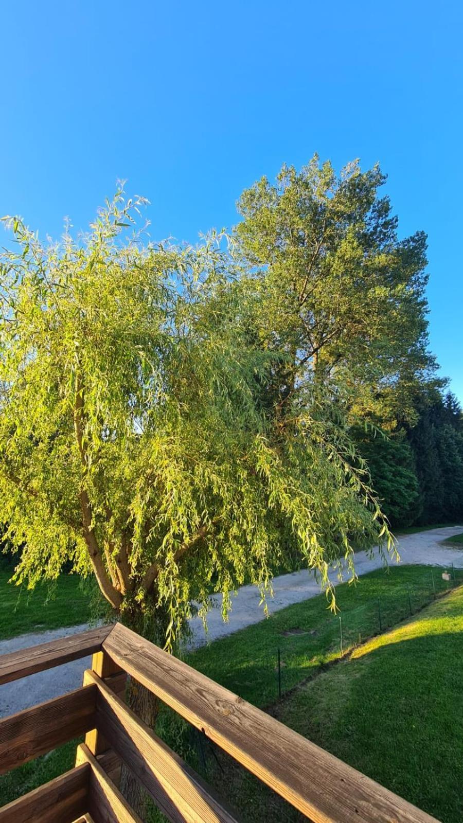 Sous Le Saule Apartment Nods Luaran gambar