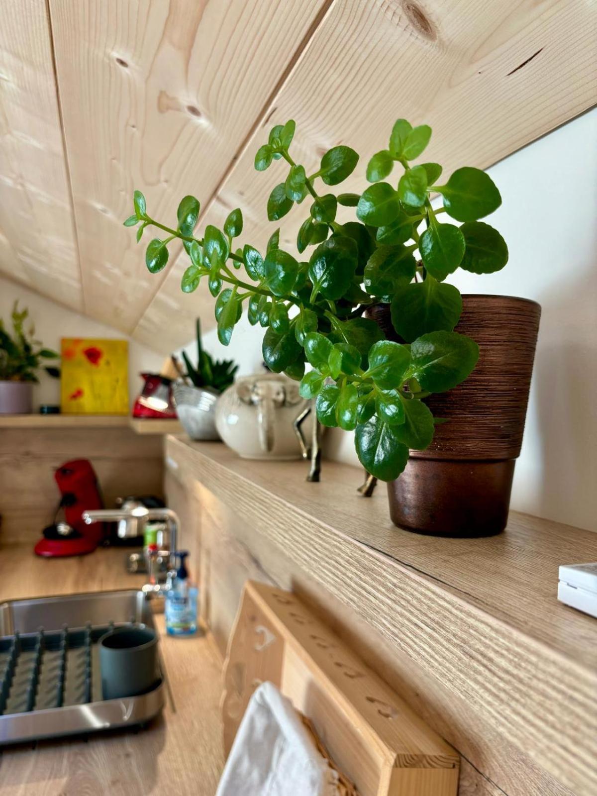 Sous Le Saule Apartment Nods Luaran gambar